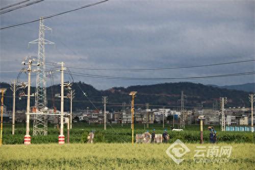 楚雄姚安：工程建设强电网助推乡村振兴发展(图1)